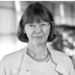 Professor Dina Cortes