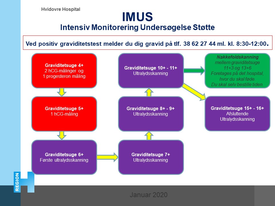 Flowchart til ​Intensiv Monitorering Undersøgelse Støtte (kontakt afdelingen, vhis du har problemer med at læse flowchartet)