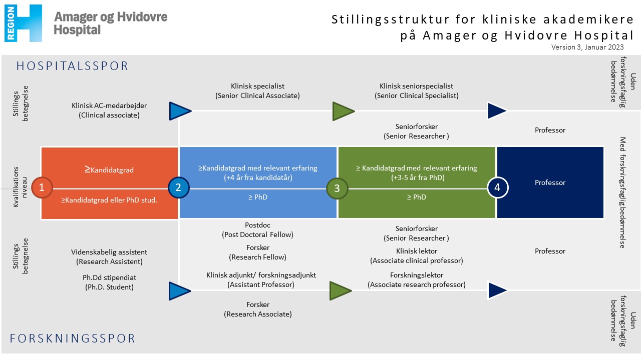 Grfisk overbliver over stillingstrukturer for kliniske akademikere på Amager og Hvidovre Hospital. Læs siden for en beskrvieslse af indholdet.