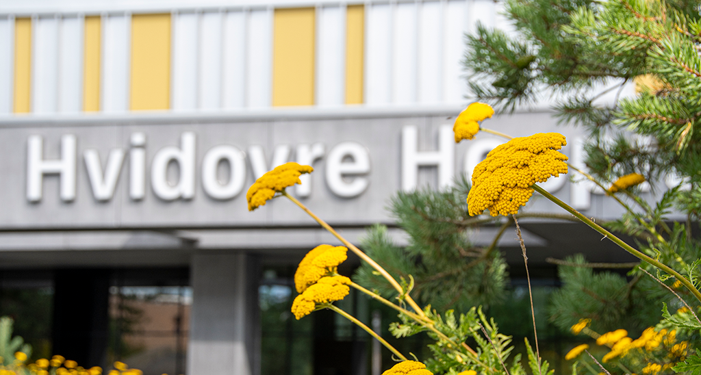 Skitl over hovedindgangen på Hvidovre Hospital