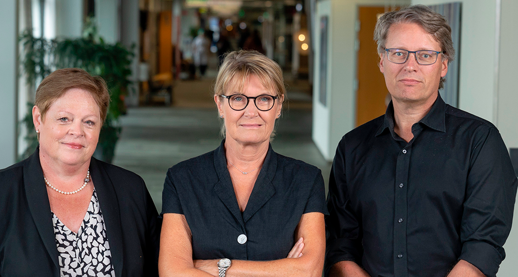Hospitalsdirektionen på Amager og Hvidovre Hospital